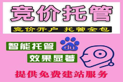 电商信息流广告推广成功案例分享